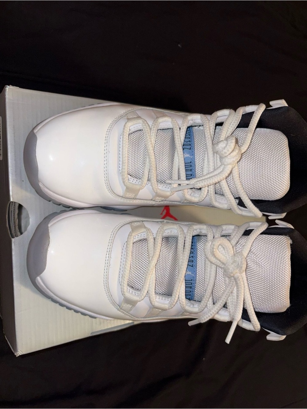 Jordan Retro 11's Legend Blues
